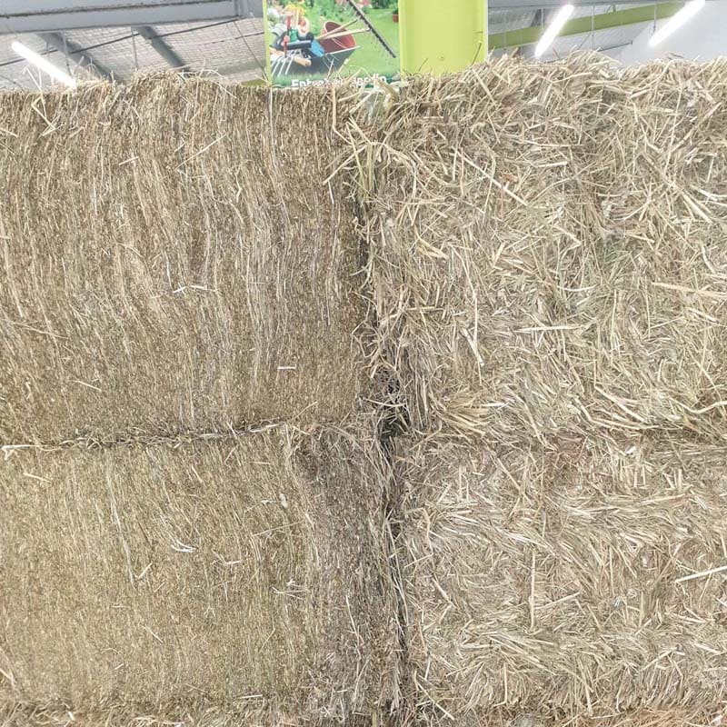 Foin de qualité Le Lamentin